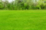 Gallery image 1 — commercial landscaping 78664
