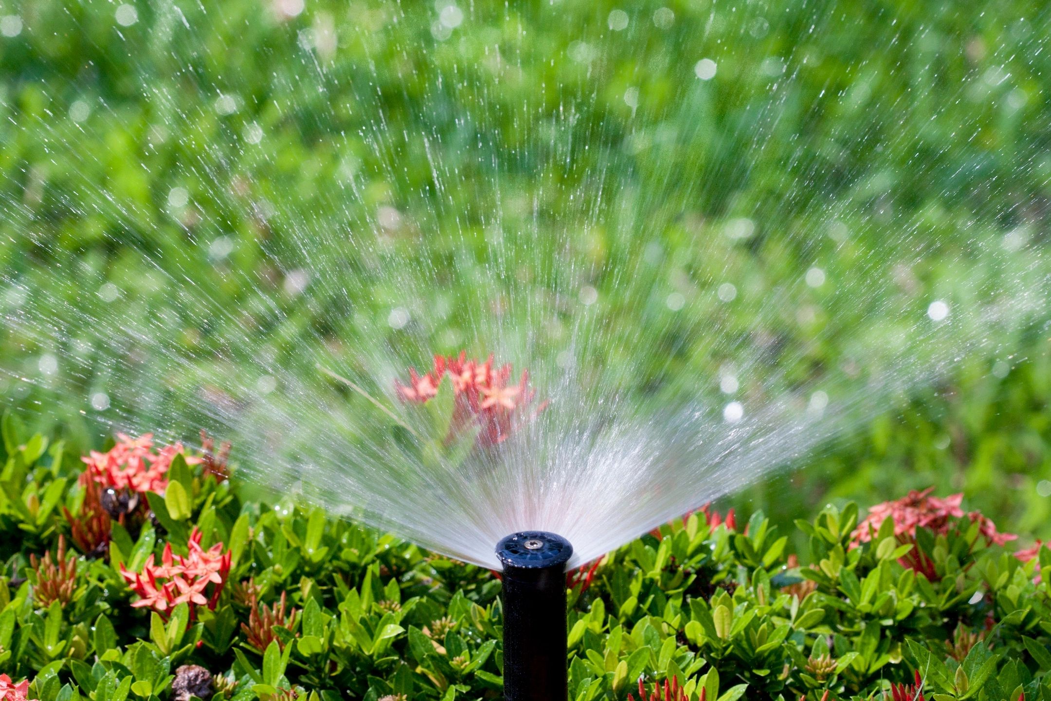 Gallery image 1 — sprinkler blowout service Greater Phoenix Valley