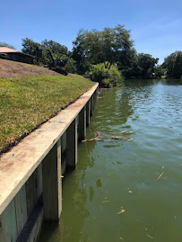 retaining wall repair Doctor Phillips