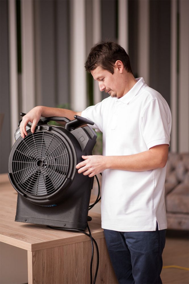 Gallery image 4 — carpet cleaning Manhattan, NY