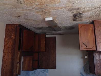 Gallery image 12 — moisture analysis Leander TX