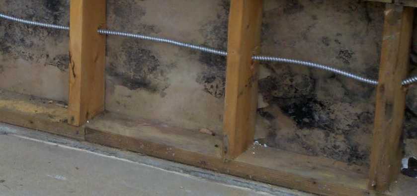 Gallery image 3 — moisture analysis Leander TX