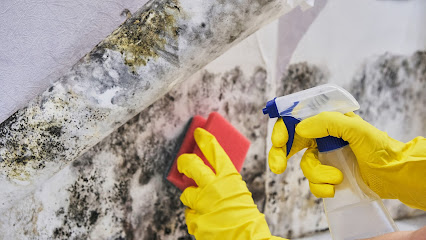 emergency storm damage restoration