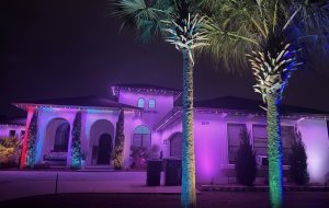 Gallery image 3 — smart outdoor lighting Spring