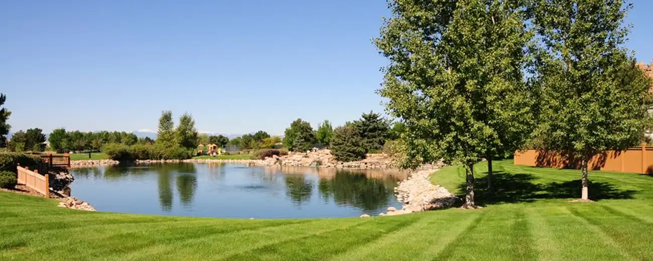 HOA landscaping Houston