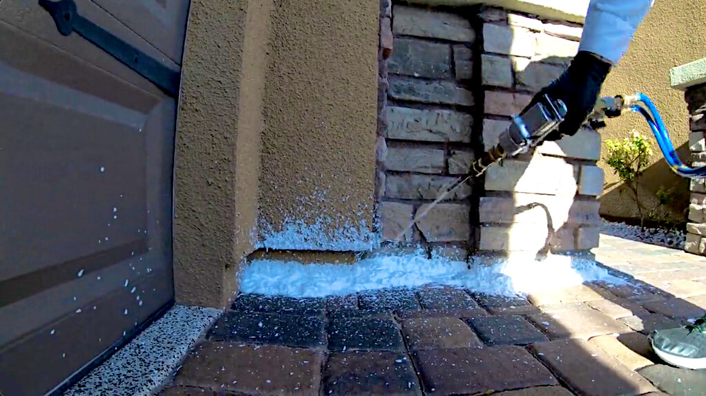 Gallery image 5 — pest control in Boulder City
