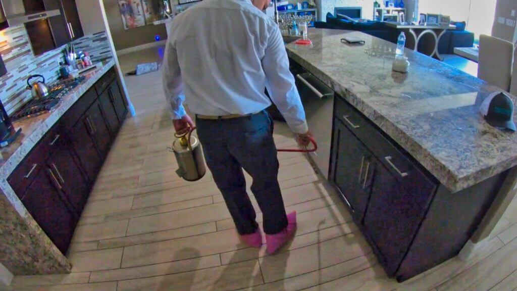 Gallery image 2 — pest control in Boulder City