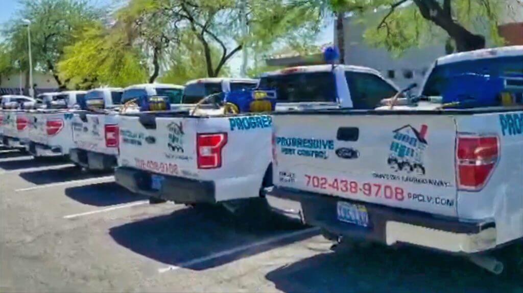 pest control in Boulder City