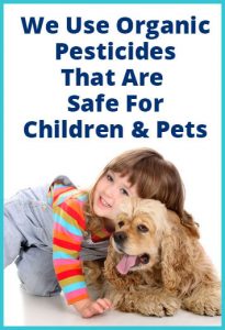 About pest control in Boulder City