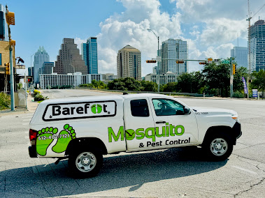 Gallery image 4 — spider extermination Marble Falls