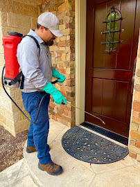 Gallery image 2 — spider extermination Marble Falls