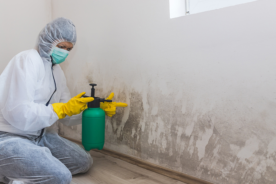 Gallery image 6 — upholstery cleaning commercial Phoenix