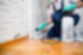 Gallery image 1 — commercial pest control Las Vegas