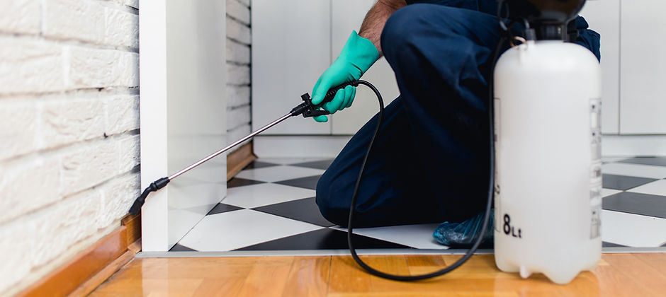 Gallery image 4 — commercial pest control Las Vegas