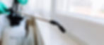 Gallery image 2 — commercial pest control Las Vegas