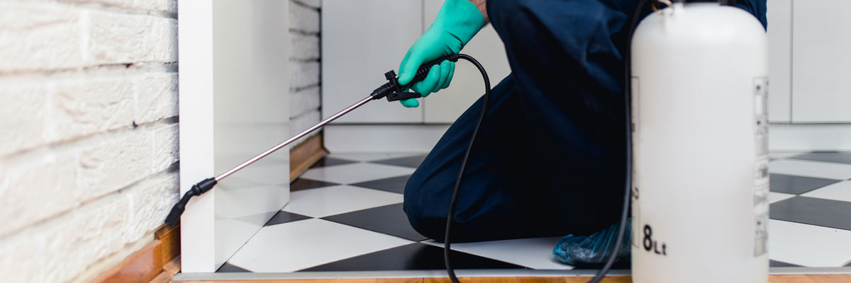 commercial pest control Las Vegas