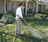 Gallery image 4 — cockroach exterminator Central Texas