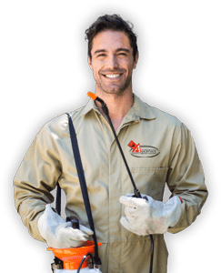 About cockroach exterminator Central Texas