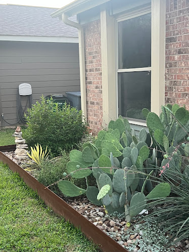 Gallery image 5 — mosquito treatment Andy Howards Pest Control