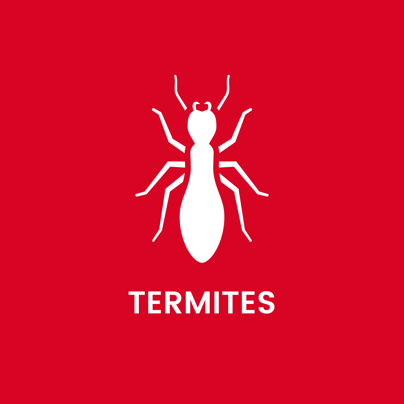 Gallery image 6 — mosquito treatment Andy Howards Pest Control