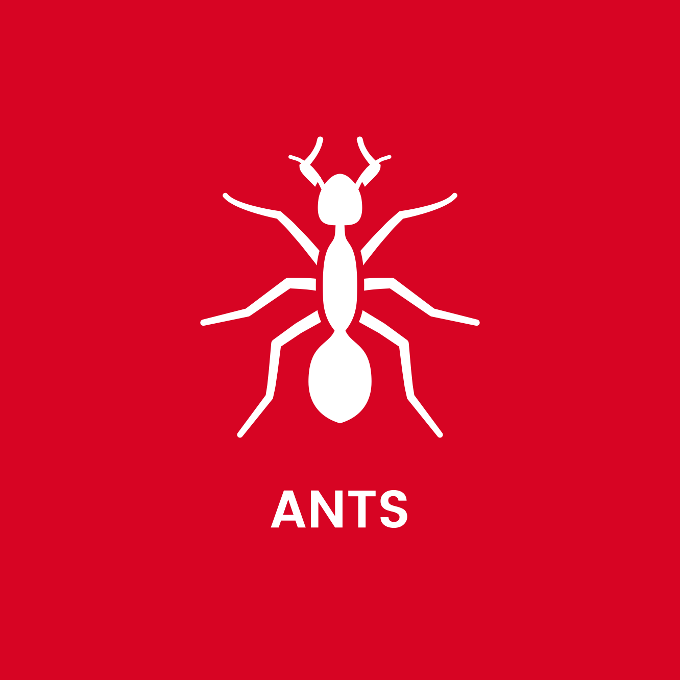 Gallery image 2 — mosquito treatment Andy Howards Pest Control