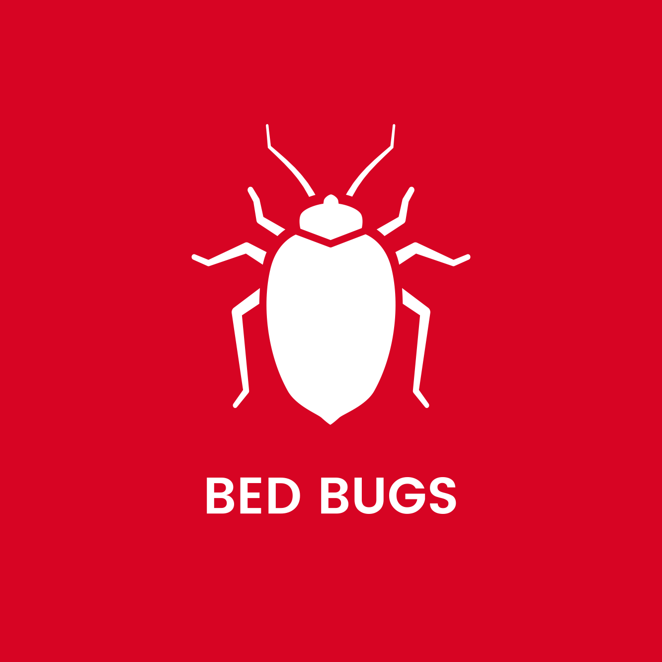 Gallery image 1 — mosquito treatment Andy Howards Pest Control