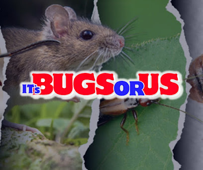 pest control near me
