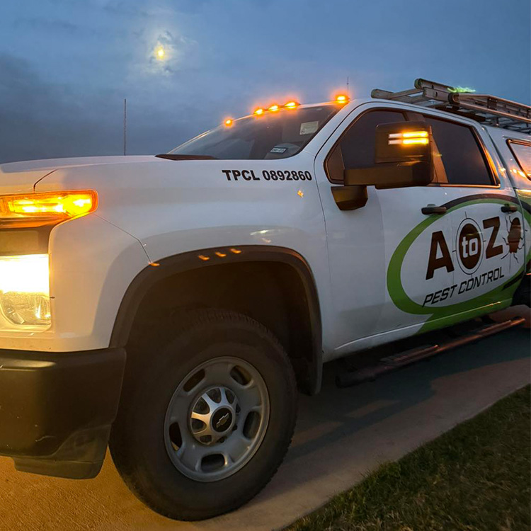 About rodent control Travis County