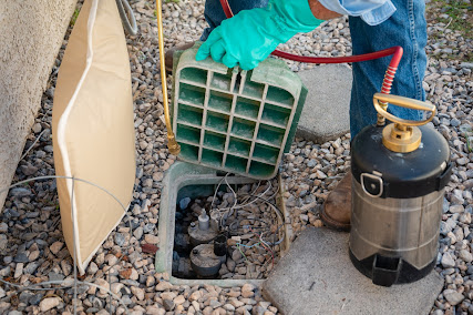 pest inspection Henderson