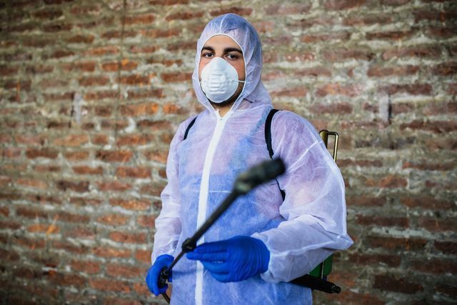 Gallery image 3 — bee removal specialists Nevada