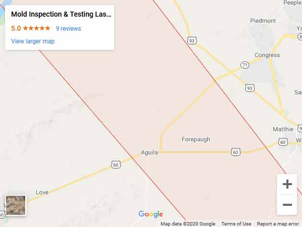 Gallery image 19 — mold testing Boulder City