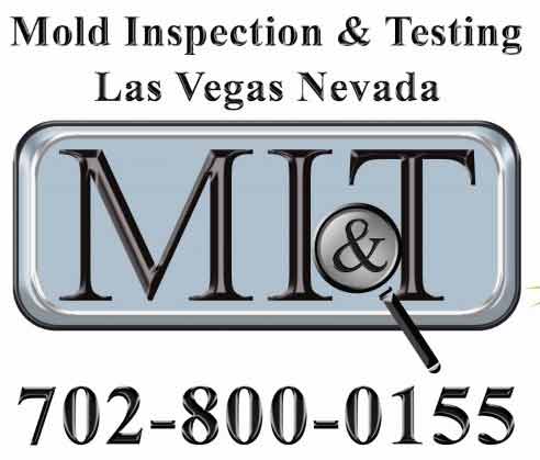 mold testing Boulder City
