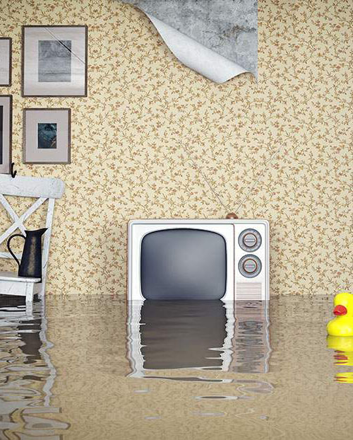 Gallery image 3 — flood cleanup services Enterprise
