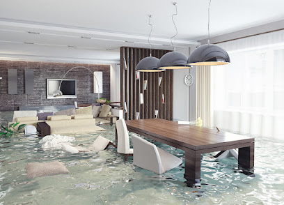 Gallery image 4 — flood cleanup services Enterprise