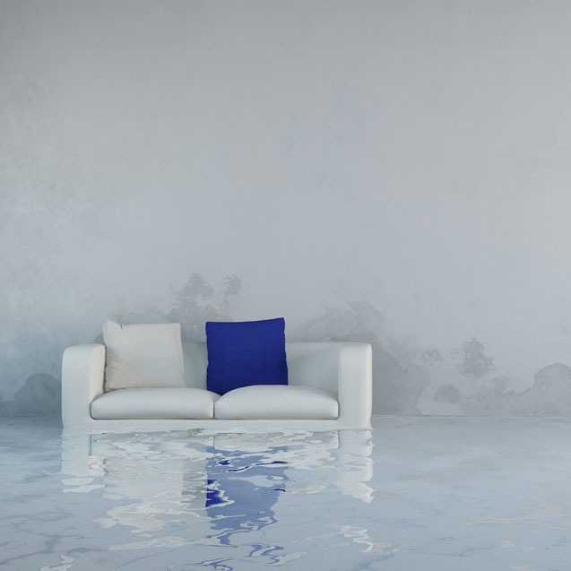 water damage contractor near Las Vegas