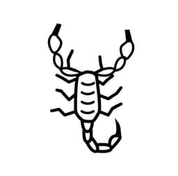 Gallery image 5 — pest free guarantee NLV