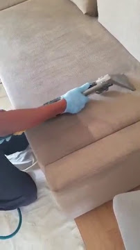 About Monster Steamer Carpet Cleaning
