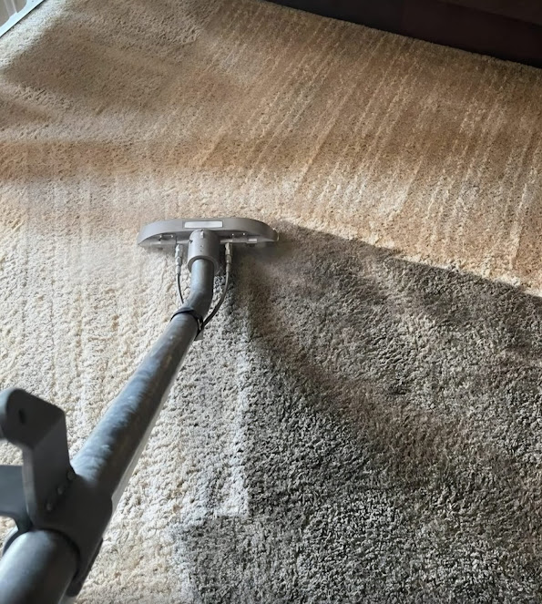 Gallery image 4 — Monster Steamer Carpet Cleaning