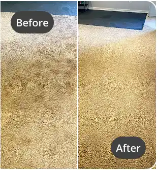 Gallery image 5 — Monster Steamer Carpet Cleaning