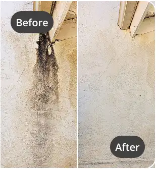 Gallery image 6 — Monster Steamer Carpet Cleaning