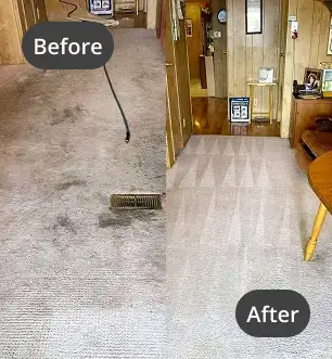 Gallery image 8 — Monster Steamer Carpet Cleaning