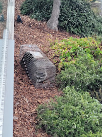 Gallery image 4 — affordable pest control Orange