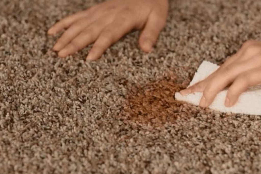 Gallery image 13 — best carpet cleaner in Manhattan