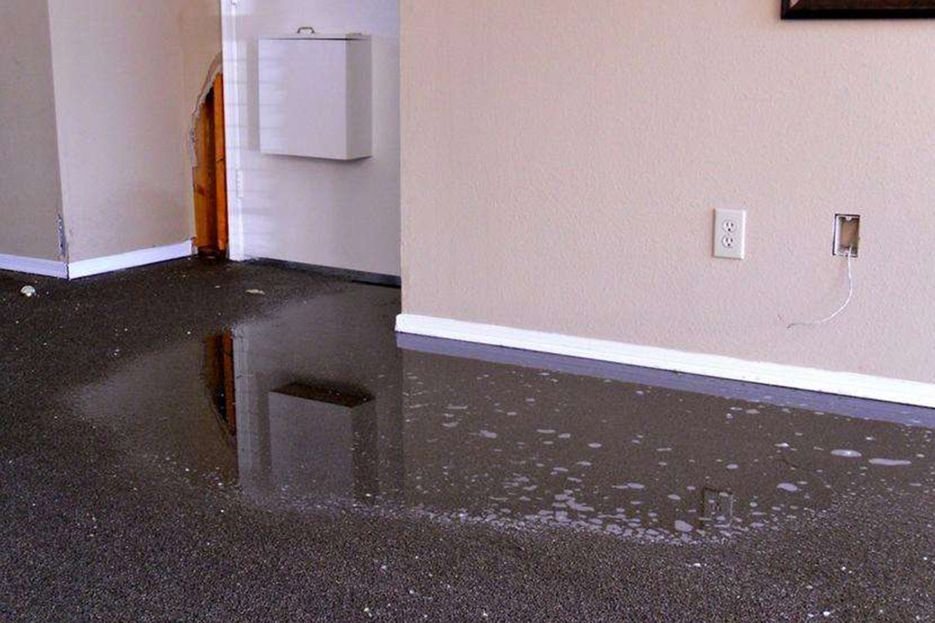 Gallery image 12 — best carpet cleaner in Manhattan
