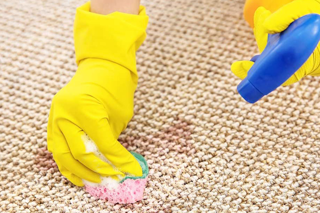 Gallery image 4 — best carpet cleaner in Manhattan