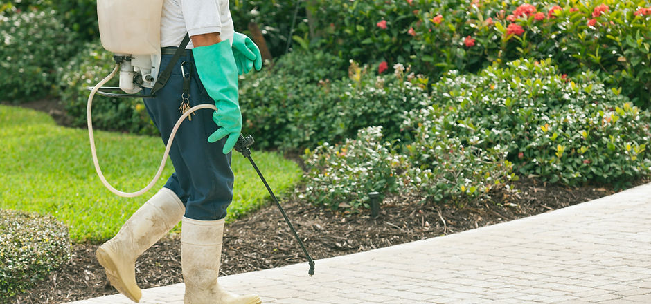 Gallery image 3 — pest control near me