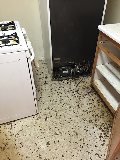 Gallery image 1 — pest control near me