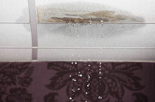 Gallery image 4 — sewer backup cleaning Brooklyn