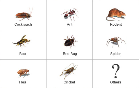 Gallery image 15 — cockroach pest control Orange County