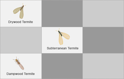 Gallery image 19 — cockroach pest control Orange County